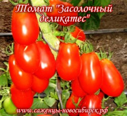 Семена томатов сорта "Засолочный деликатес"