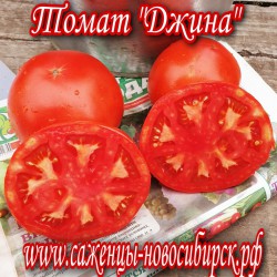 Семена томатов сорта "Джина"