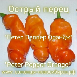 Семена острого перца "Peter Pepper Orange"