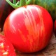 Семена томатов сорта "Розовый вернисаж"(Vernissage pink, Ukraine)