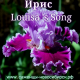Ирис Луиза Сонг (Louisa`s song)