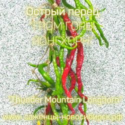 Семена острого перца " Pepper Thunder Mountain Longhorn"