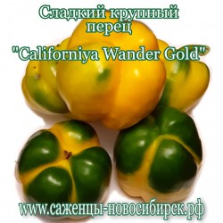 Семена сладкого  жёлтого перца "Californiya Wander Gold"