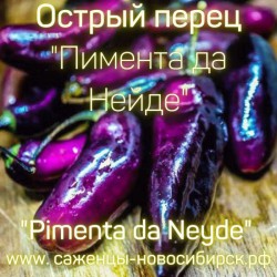 Рассада острого перца "Pimenta da Neyde" ( Пимента да Нейде)