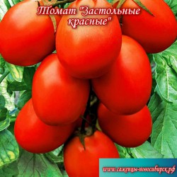 Семена томатов сорта "Застольные красные"(Red for a holiday, Ukraine)