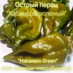 Семена острого перца "Habanero Green" ( Хабанеро грин)
