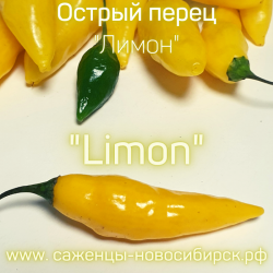 Семена острого перца "Limon" (Лимон)