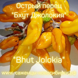 Семена острого перца "Бхут Джолокия жёлтый"  Bhut Jolokia yellow
