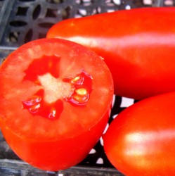 Семена томатов сорта "Перцовка"