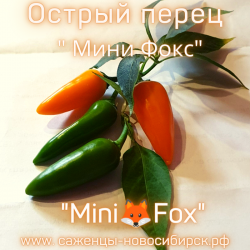 Семена острого перчика " Mini Fox"