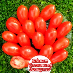 Рассада томатов сорта "Засолочный деликатес"