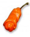 Семена острого перца "Peter Pepper Orange"