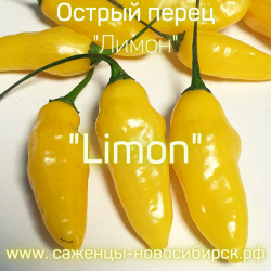 Семена острого перца "Limon" (Лимон)