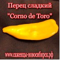 Семена сладкого  жёлтого перца" Corno de Toro"