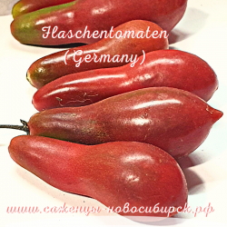 Семена томатов сорта "Flaschentomaten" (Germany)